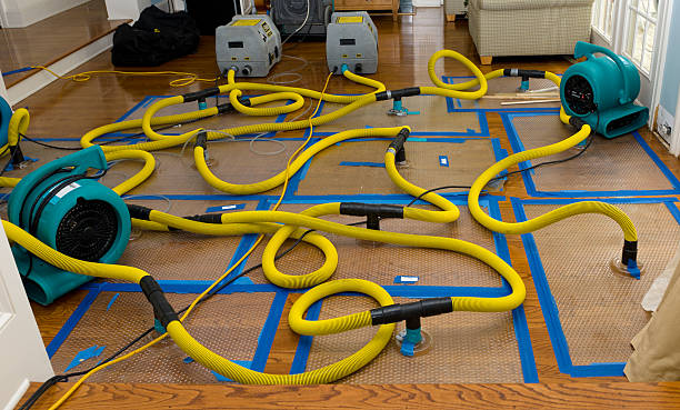 Professional Water Extraction technician working in Dazey, ND